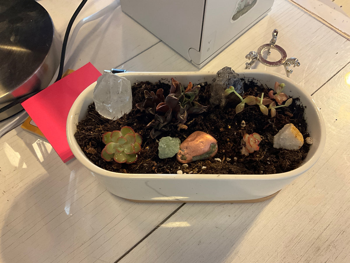 Plant - Succulent & Crystal Planter