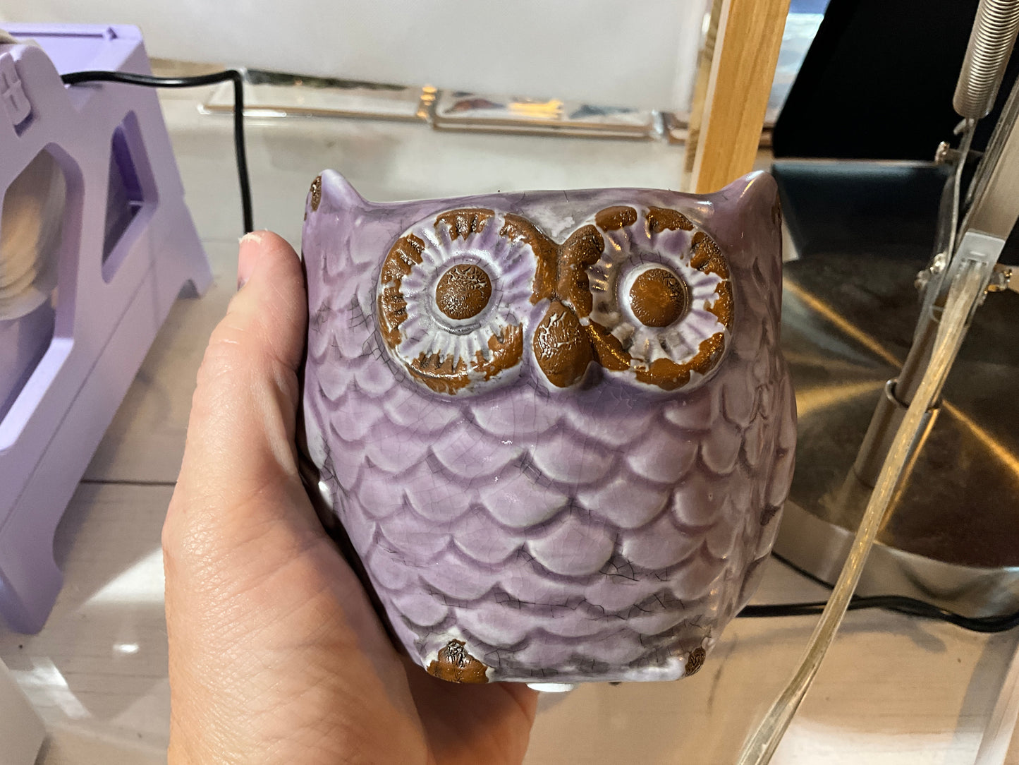 Purple Owl Planter