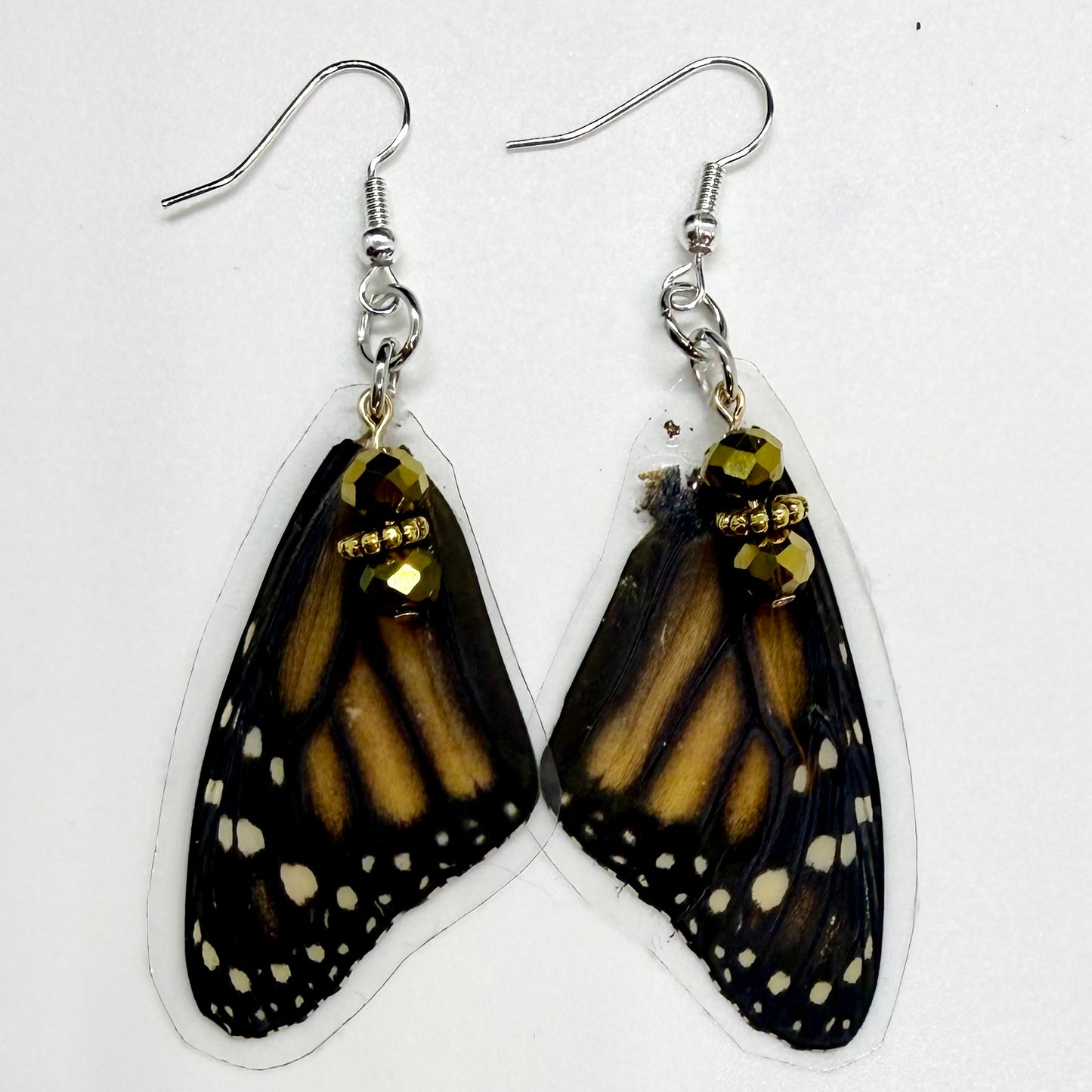 Monarch Front Wing REAL Butterfly Wing Earrings w Gold Beads