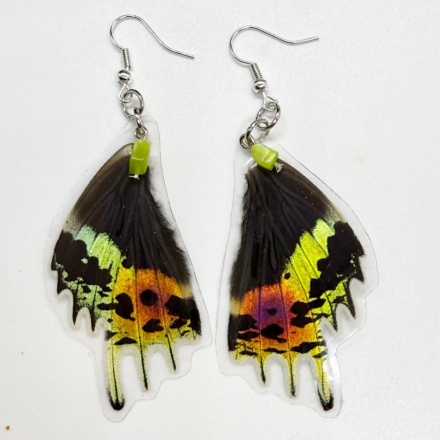 Madagascar Sunset Rear Wing REAL Wing Earrings w Green Beads