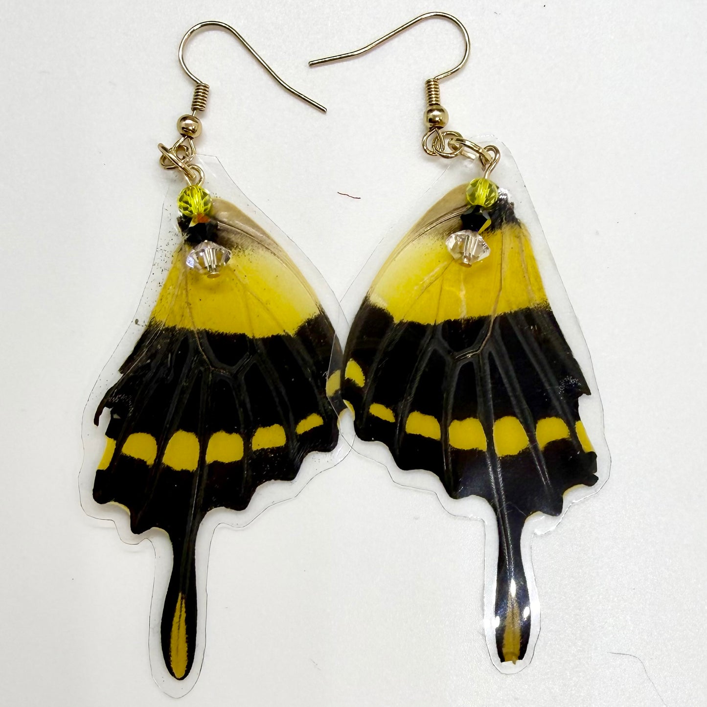 King Swallowtail Rear Wing REAL Butterfly Wing Earrings w Clear, Black & Yellow Beads