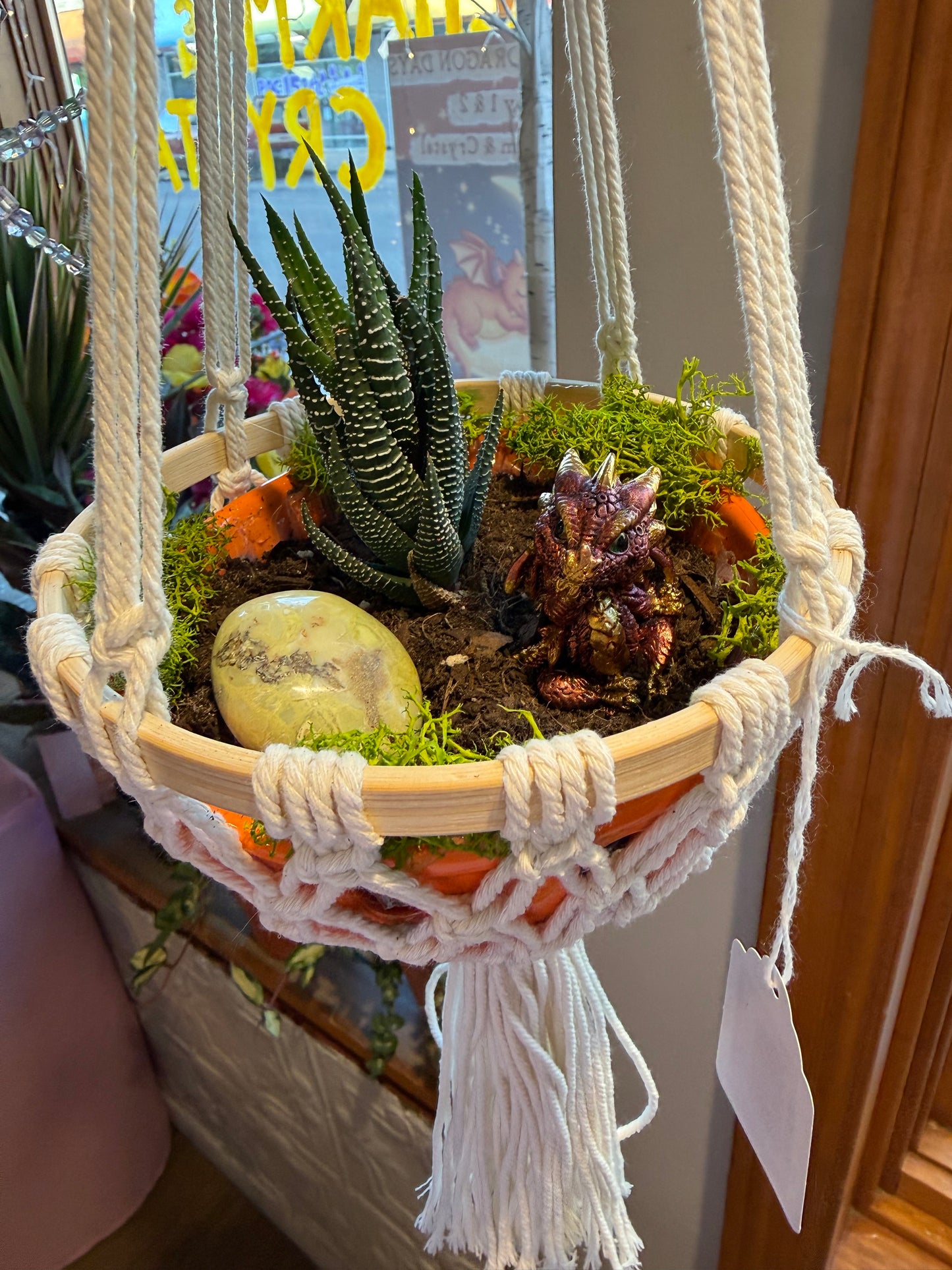 Hanging Planter w Dragon, Serpentine & Succulent
