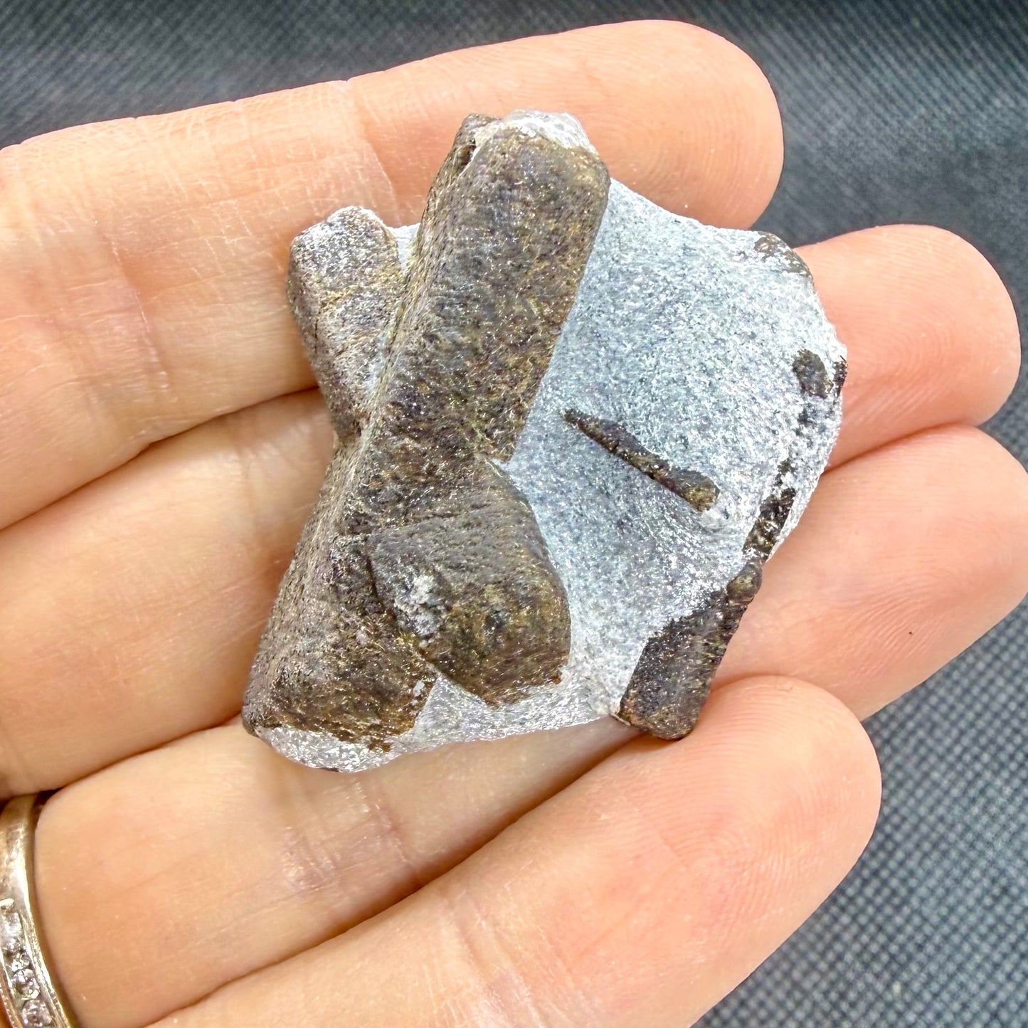 Staurolite in Mica Fairy Stone