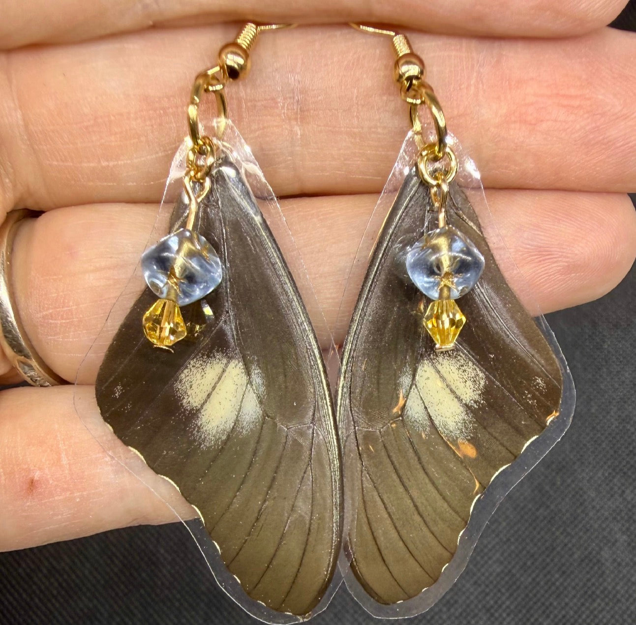 Real Butterfly Wing Earrings
