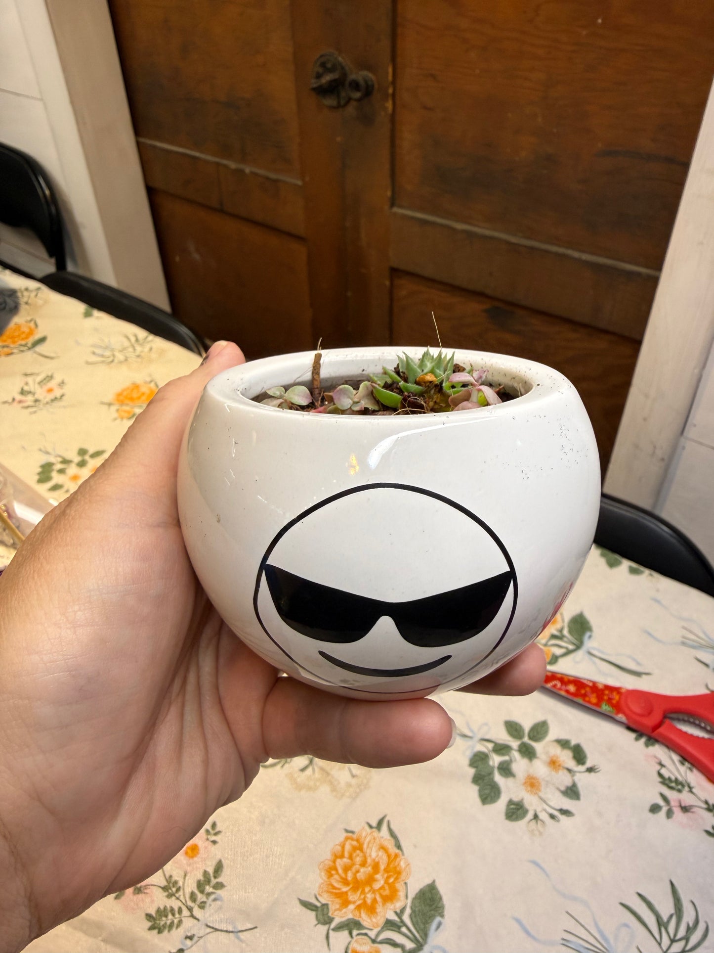 Cool Guy Succulent Planter