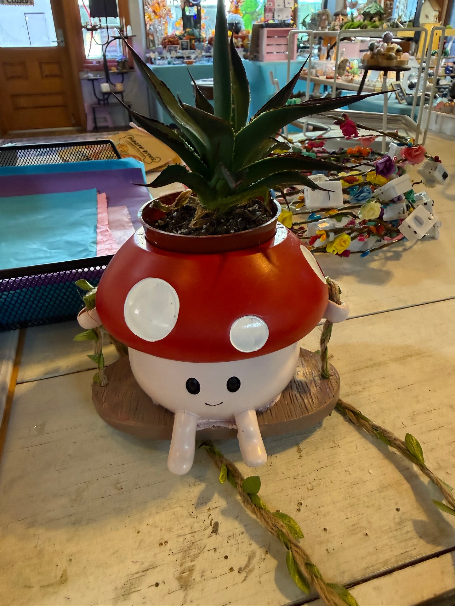 Agave Plant in Swinging Mushroom