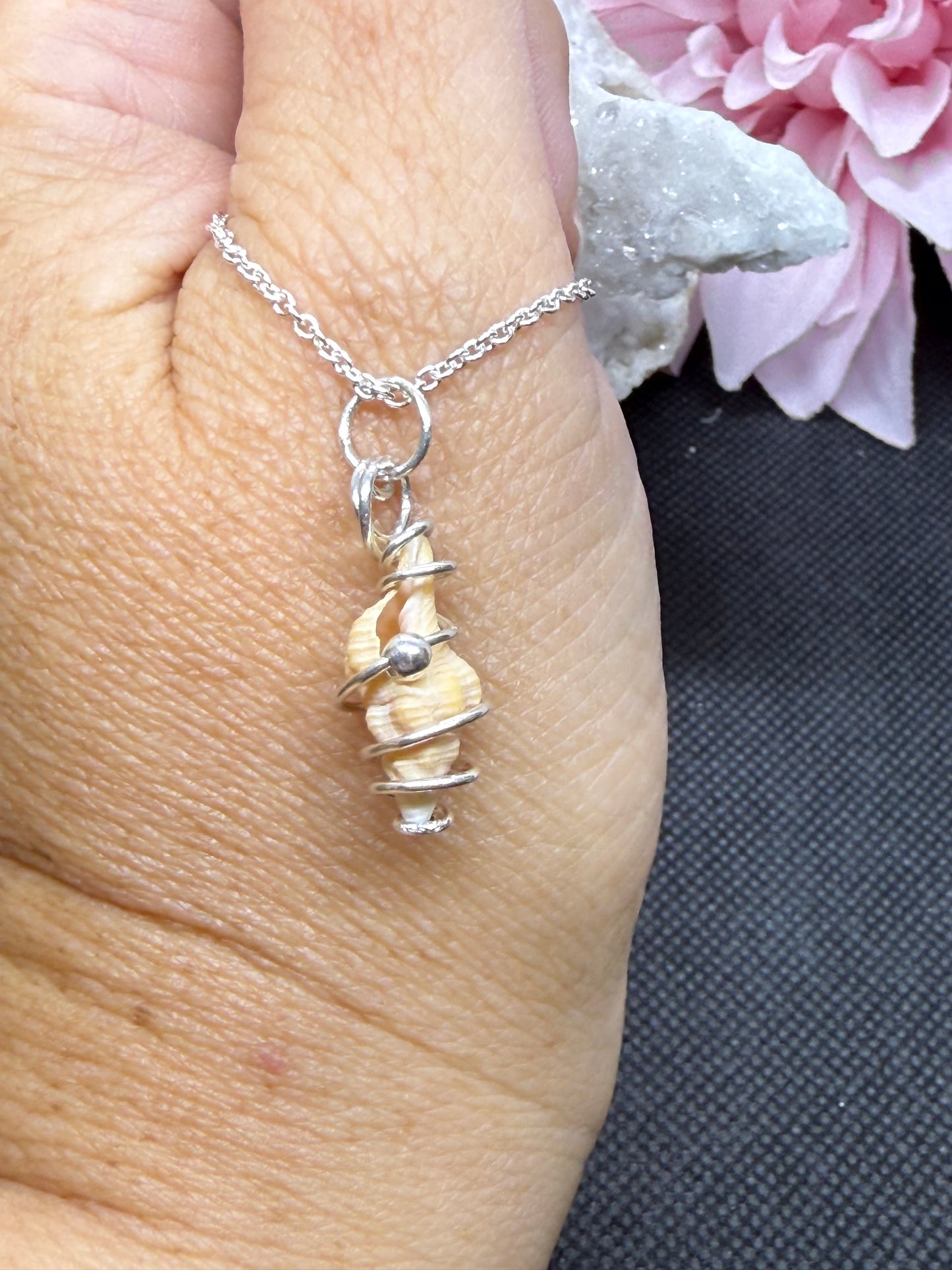 Mini Conch Shell Necklace in Sterling Silver w Accent Bead on 20” Sterling Chain Jewelry Pendant Gift