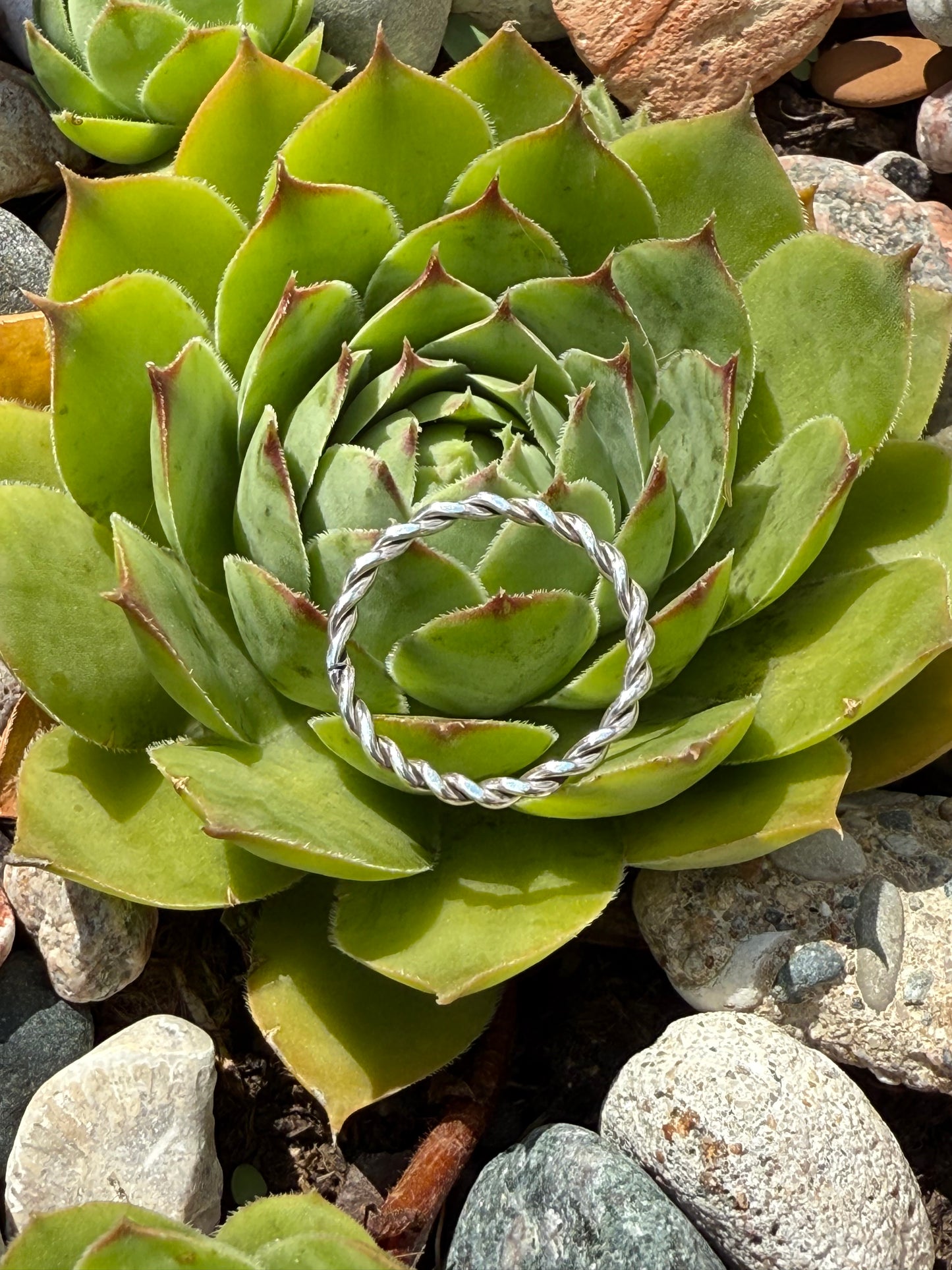 Sterling Silver Twist Ring
