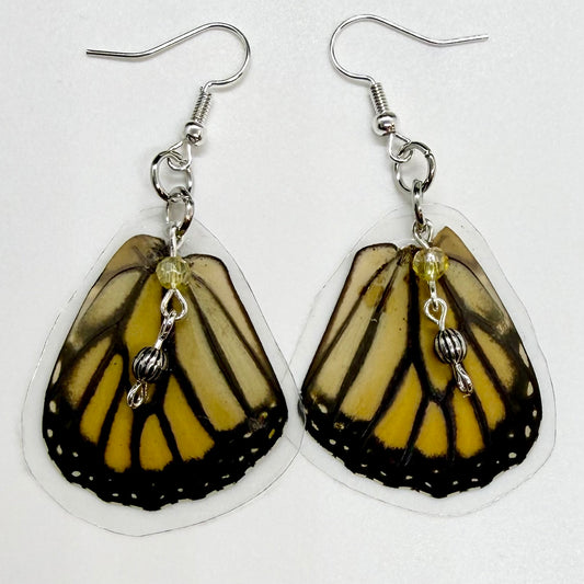 Monarch Rear Wing REAL Butterfly Wing Earrings w Silver & Yellow Beads