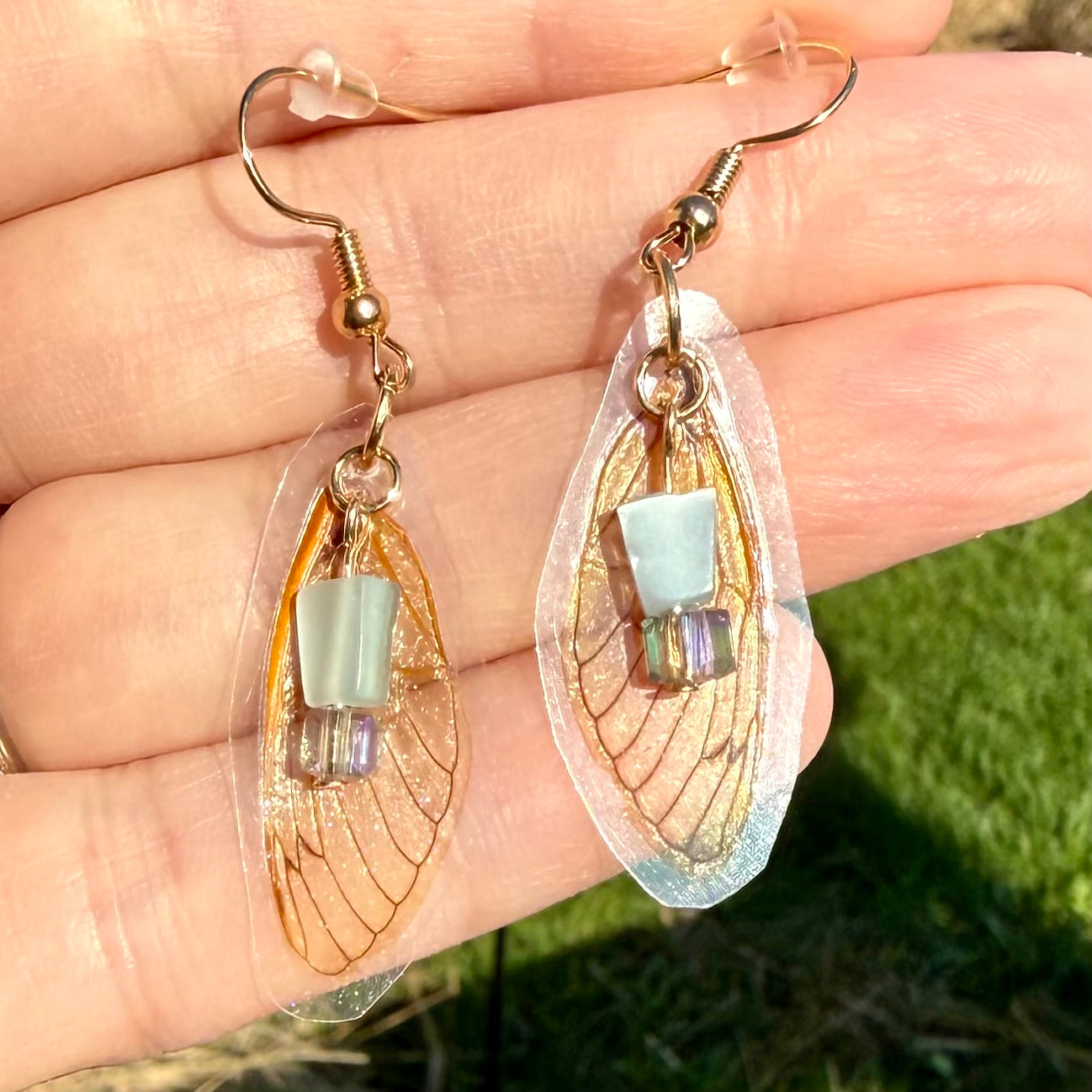 Real Cicada Wing Earrings