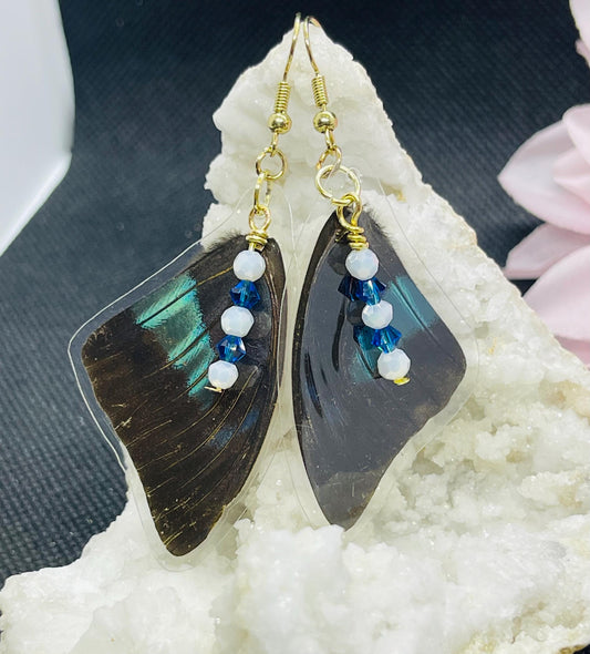 Real Butterfly Wing Earrings with Sparkle Bead Accents Jewelry Black Blue Morpho