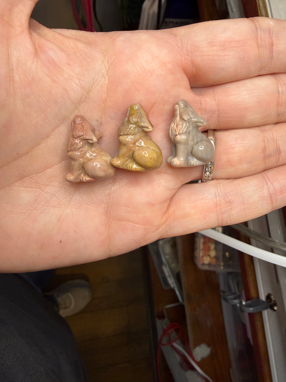 Alashon Agate Animals Cat Wolf Dog Cat on Pumpkin Crystal