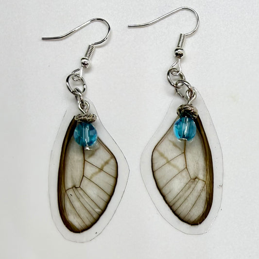Pink Clearwing Front Wings REAL Butterfly Wing Earrings