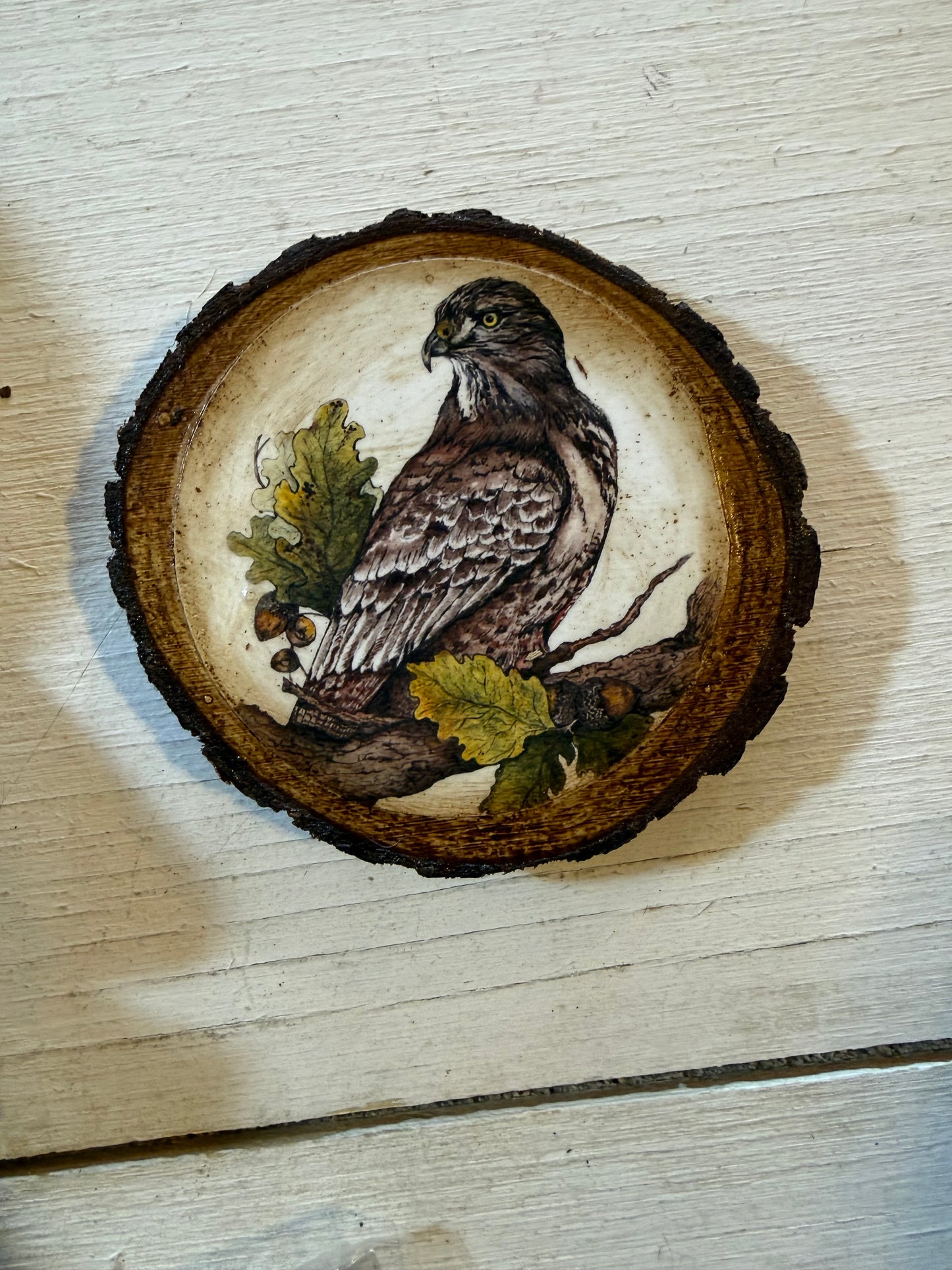 Hawk Magnet THATO