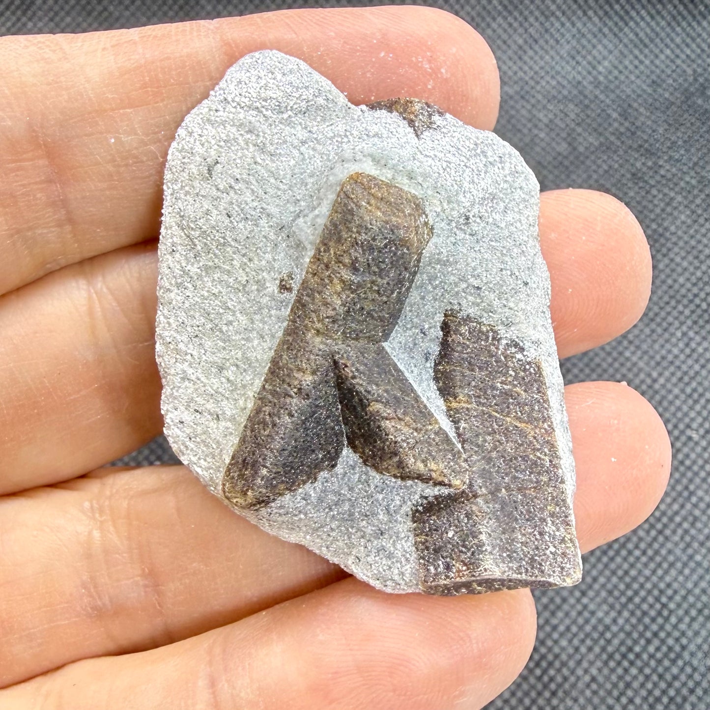 Staurolite in Mica Fairy Stone