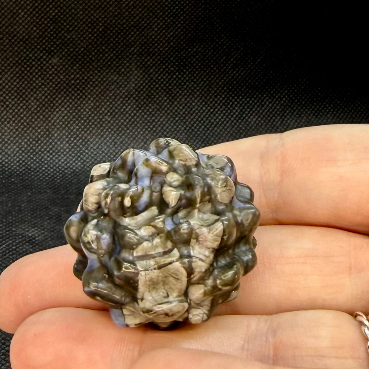 Crystal Succulent Plant