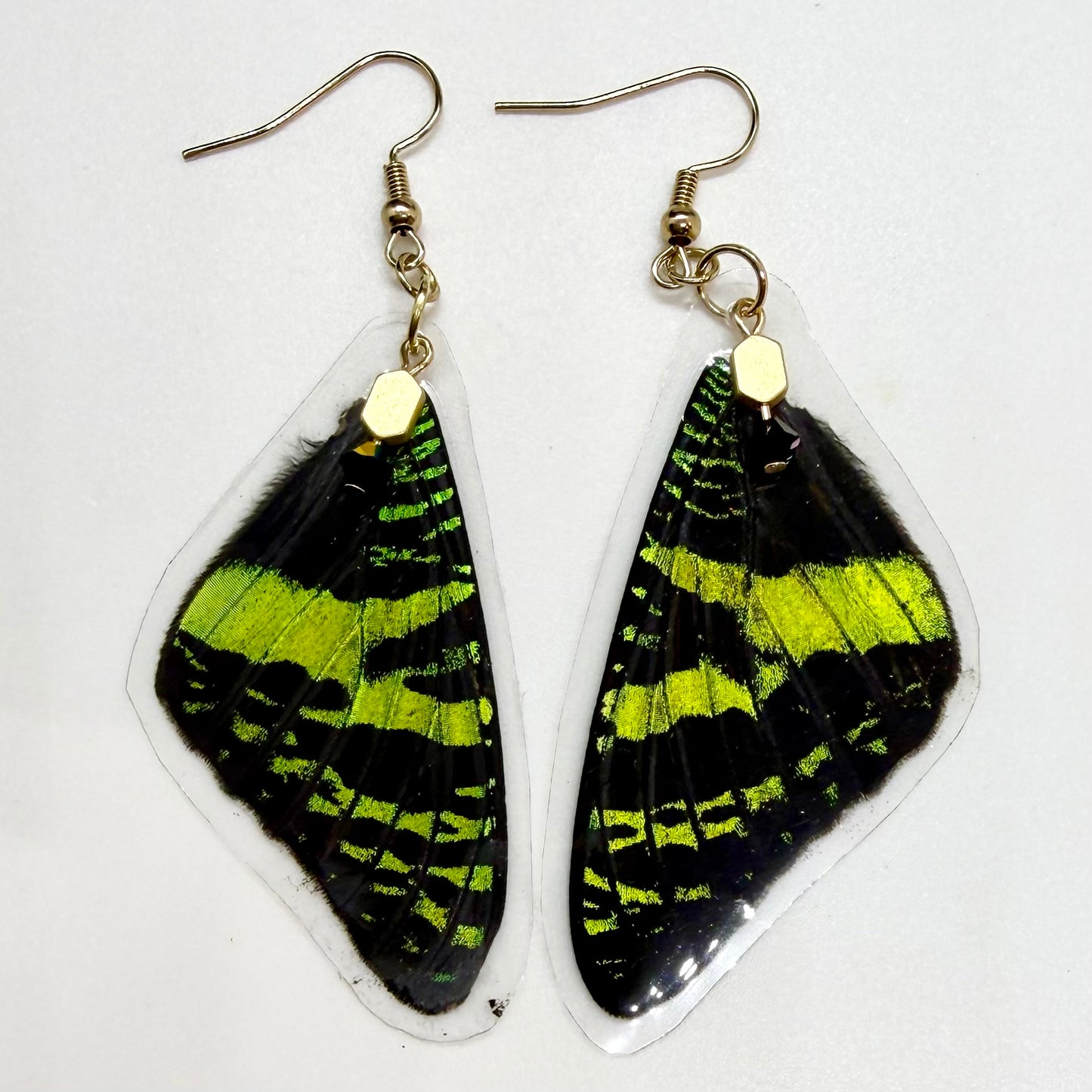 Madagascar Sunset Moth Front Wing REAL Butterfly Wing Earrings w Gold & Black Beads