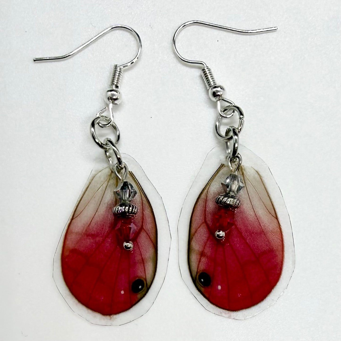 Pink Clearwing Rear Wings REAL Butterfly Wing Earrings