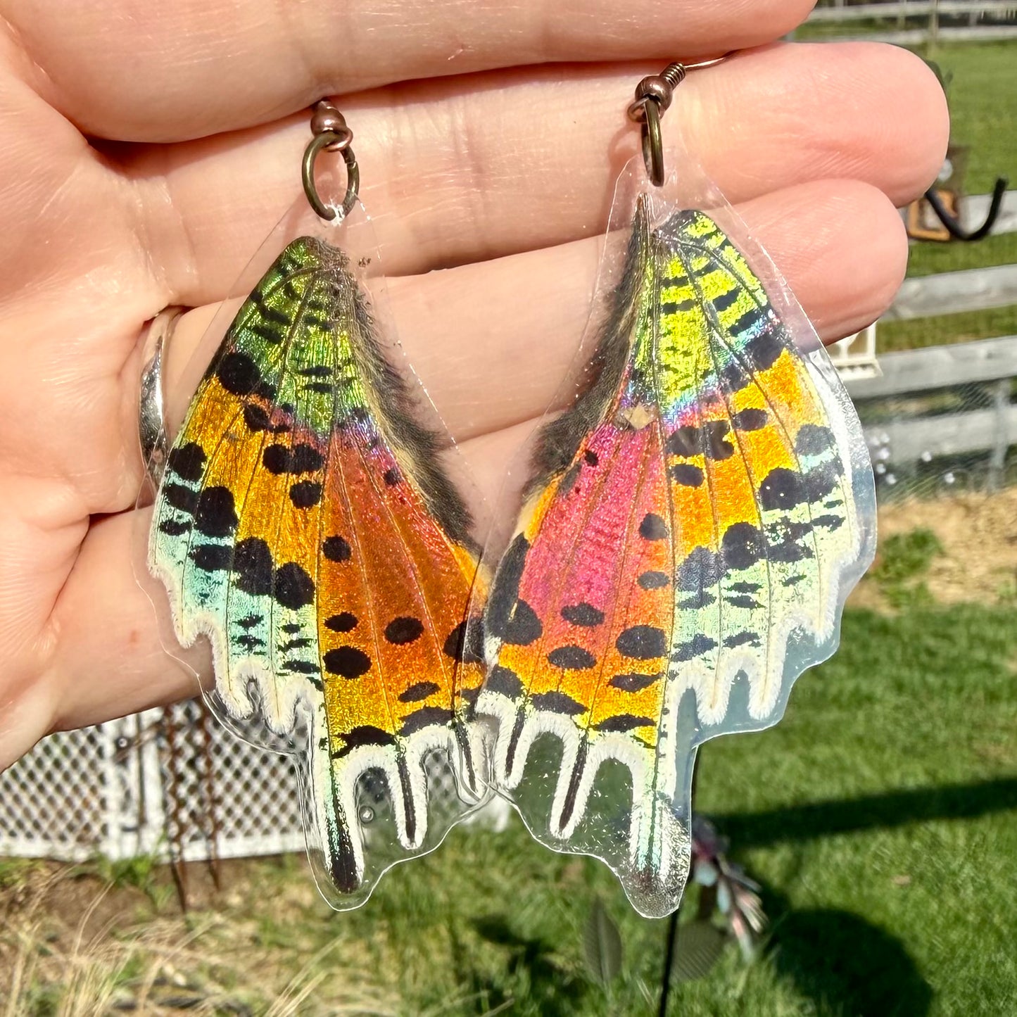 Real Butterfly Wing Earrings Madagascar Sunset Moth