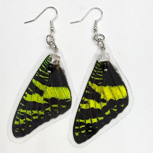 Madagascar Sunset Moth Front Wing REAL Butterfly Wing Earrings w Clear Crackle & Black Beads