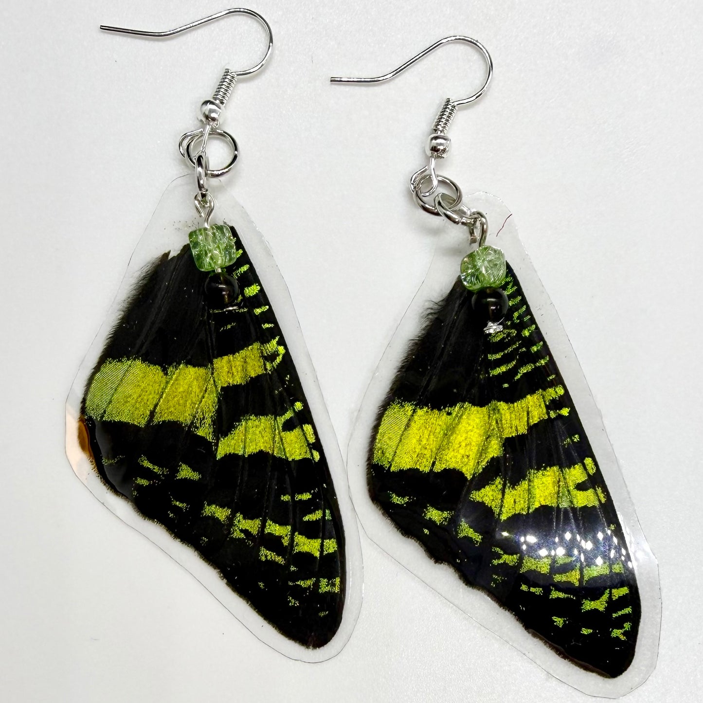 Madagascar Sunset Moth Front Wing REAL Butterfly Wing Earrings w Green Crackle & Black Beads
