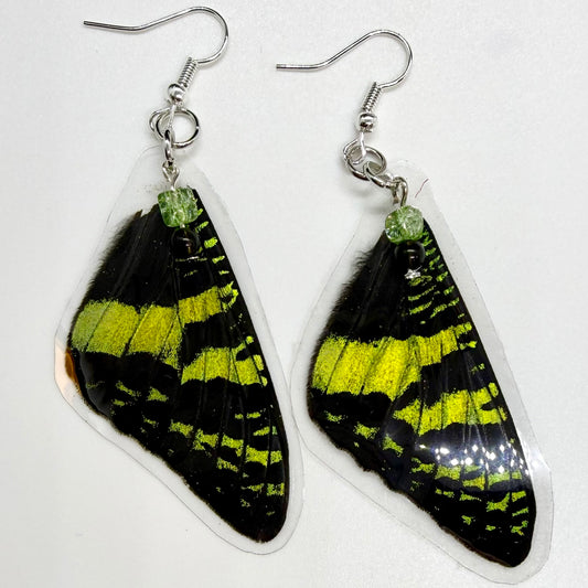 Madagascar Sunset Moth Front Wing REAL Butterfly Wing Earrings w Green Crackle & Black Beads