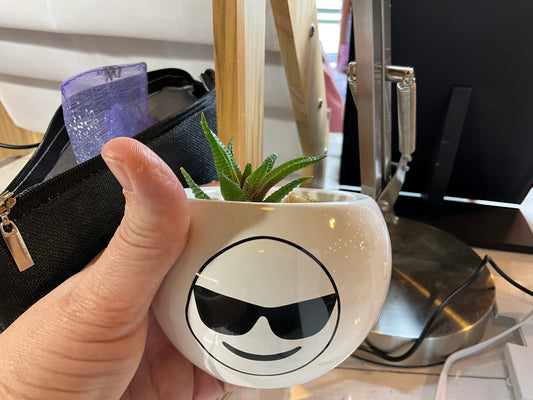 Cool Guy Planter