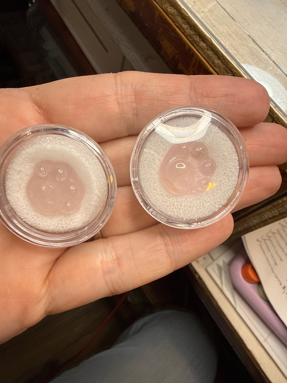 Rose Quartz Crystal Paw
