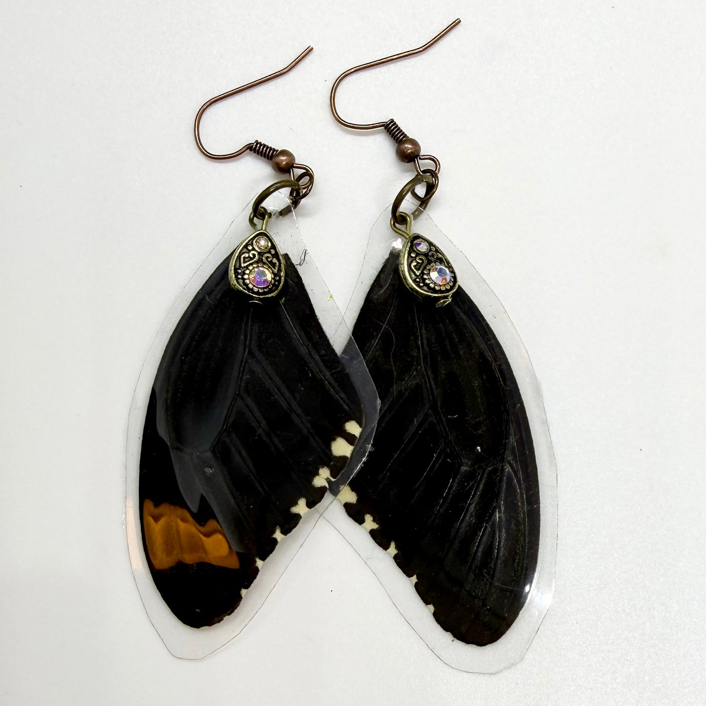 Common Mormon Front Wing REAL Butterfly Wing Earrings w Teardrop Beads