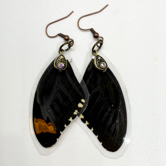 Common Mormon Front Wing REAL Butterfly Wing Earrings w Teardrop Beads