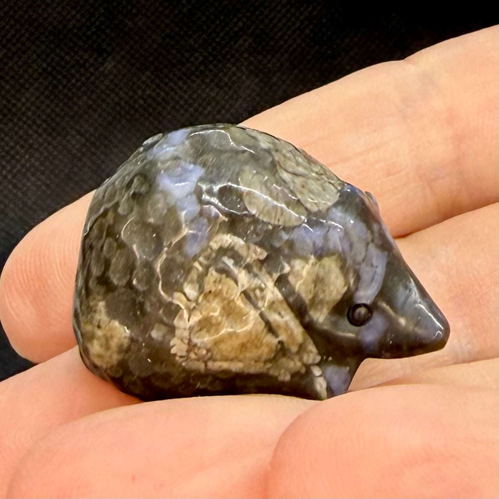 Crystal Hedgehogs Assorted