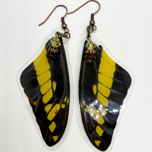 King Swallowtail Front Wing REAL Butterfly Wing Earrings w Amber & Yellow Beads