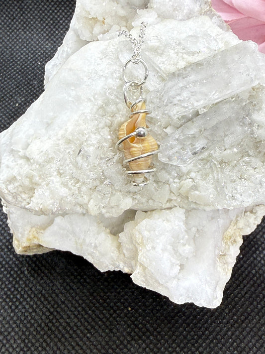 Mini Conch Shell Necklace in Sterling Silver w Accent Bead on 20” Sterling Chain Jewelry Pendant Gift