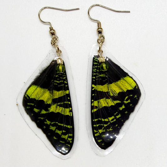 Madagascar Sunset Moth Front Wings REAL Butterfly Wing Earrings w Green & Gold Beads