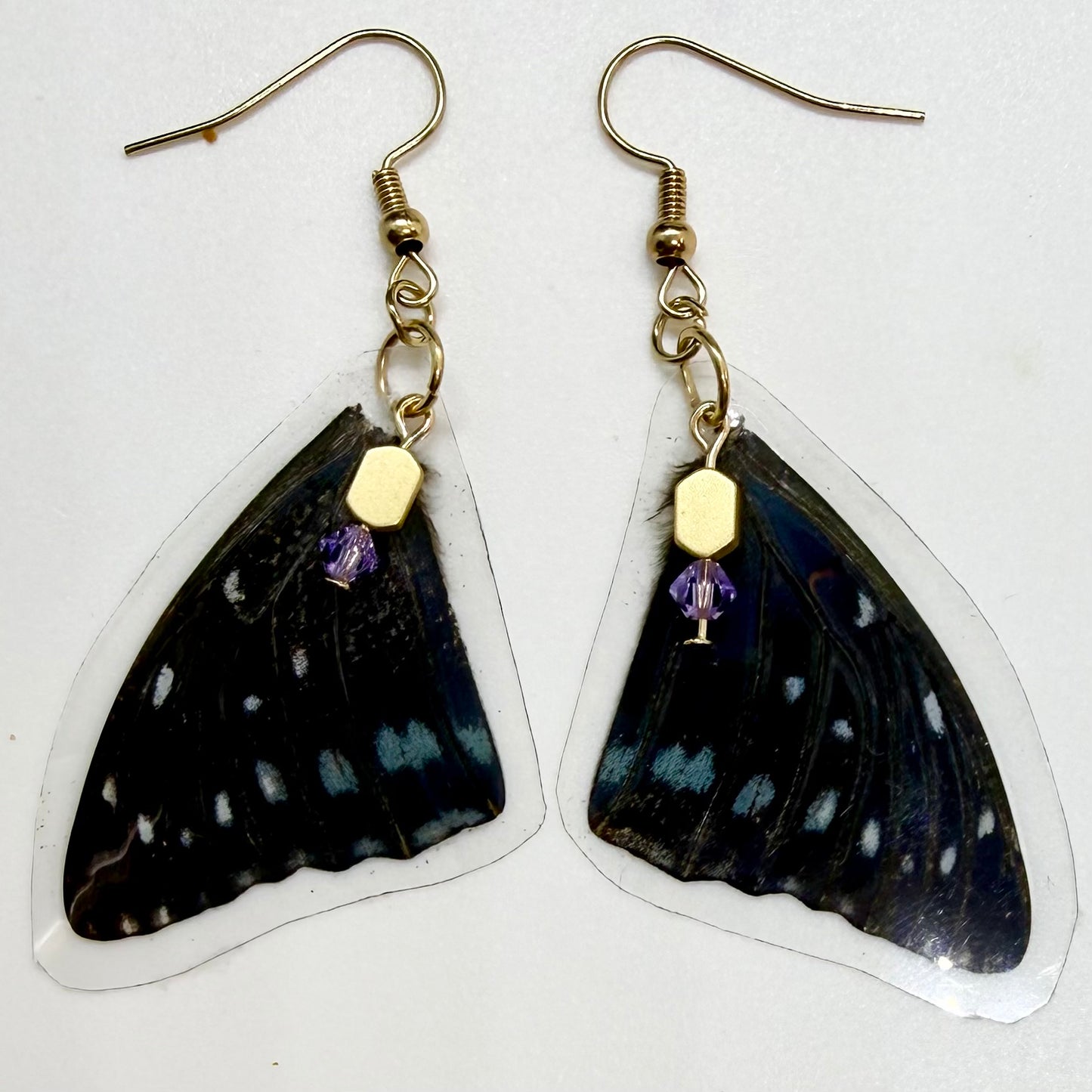 Savannah Charaxes Front Wings REAL Butterfly Earrings w Gold & Purple Beads