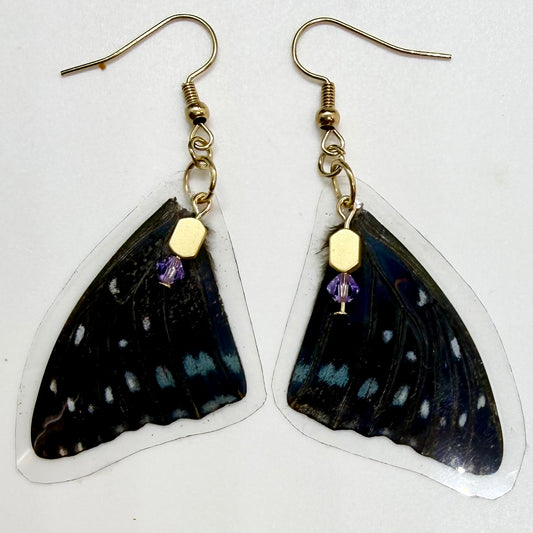 Savannah Charaxes Front Wings REAL Butterfly Earrings w Gold & Purple Beads