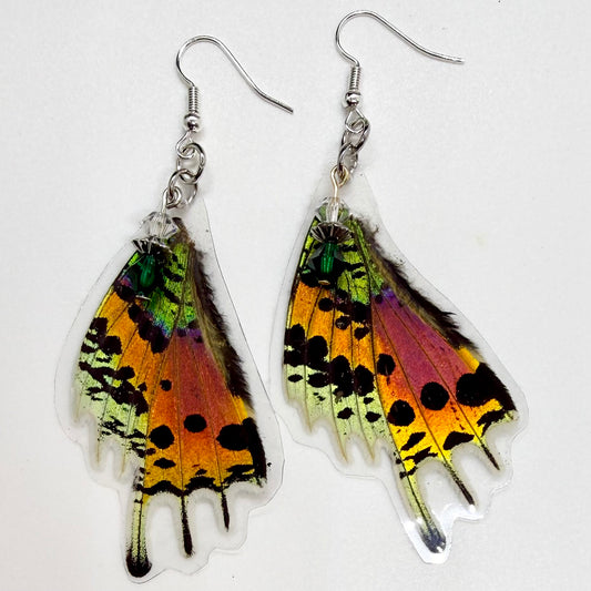 Madagascar Sunset Moth Rear Wing REAL Butterfly Wing Earrings w Clear, Green & Silver Beads