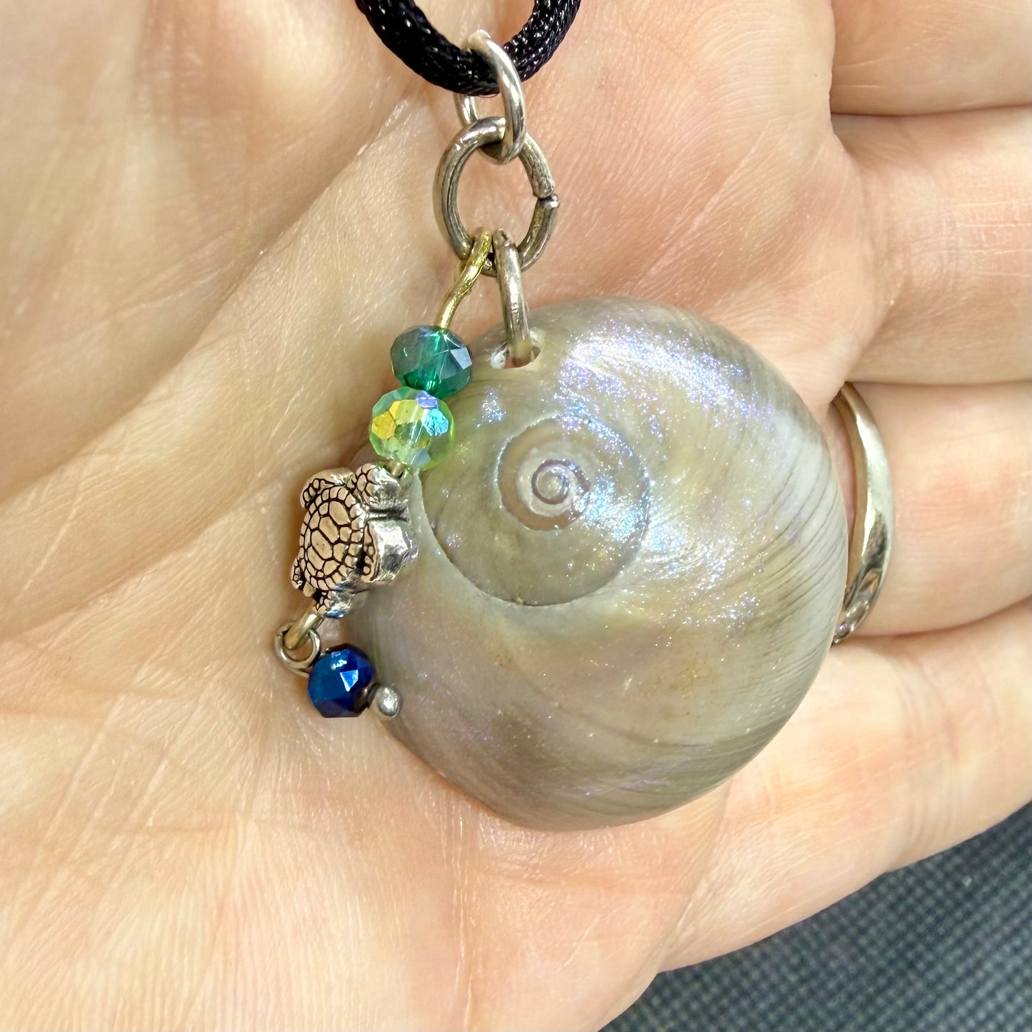 Shark Eye Moon Snail Shell on Black Nylon Cord Jewelry Necklace