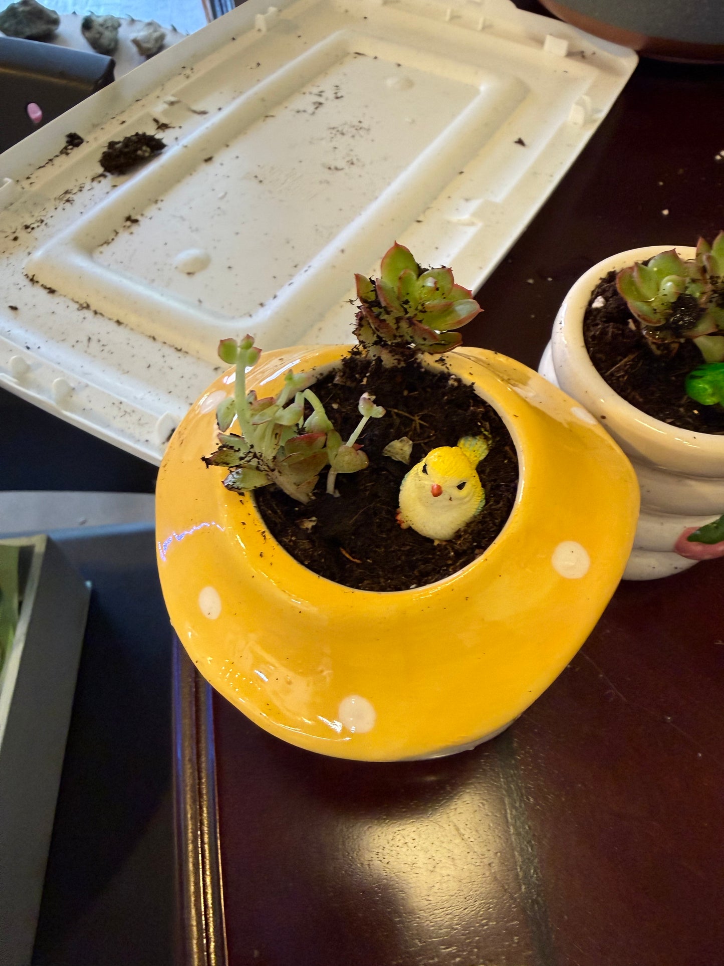Mushroom Succulent Planter Yellow w Bird PLANT