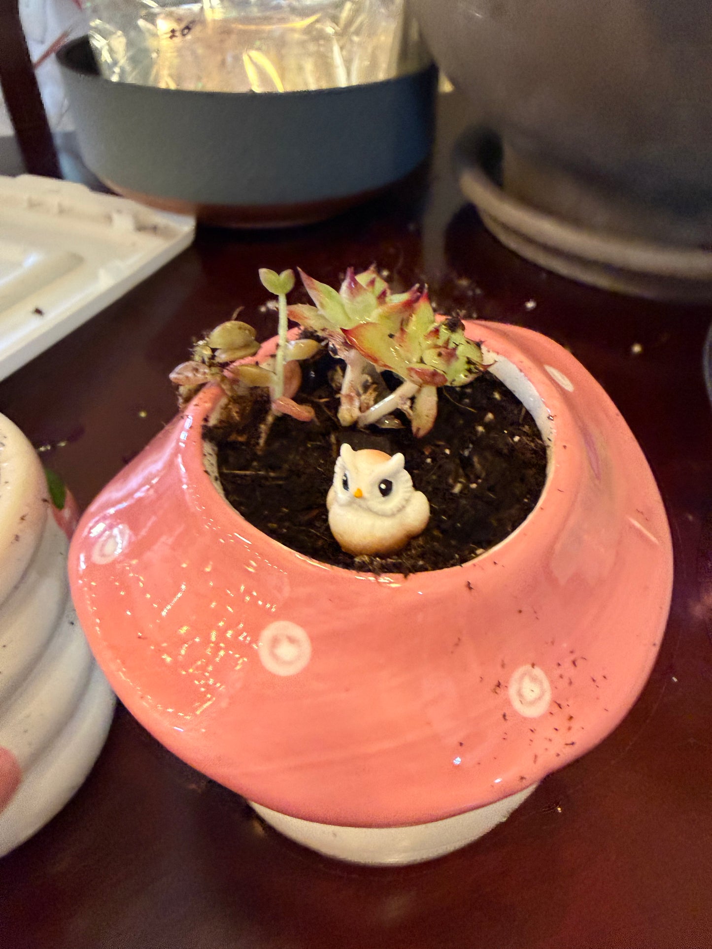 Mushroom Succulent Planter Pink w Owl PLANT