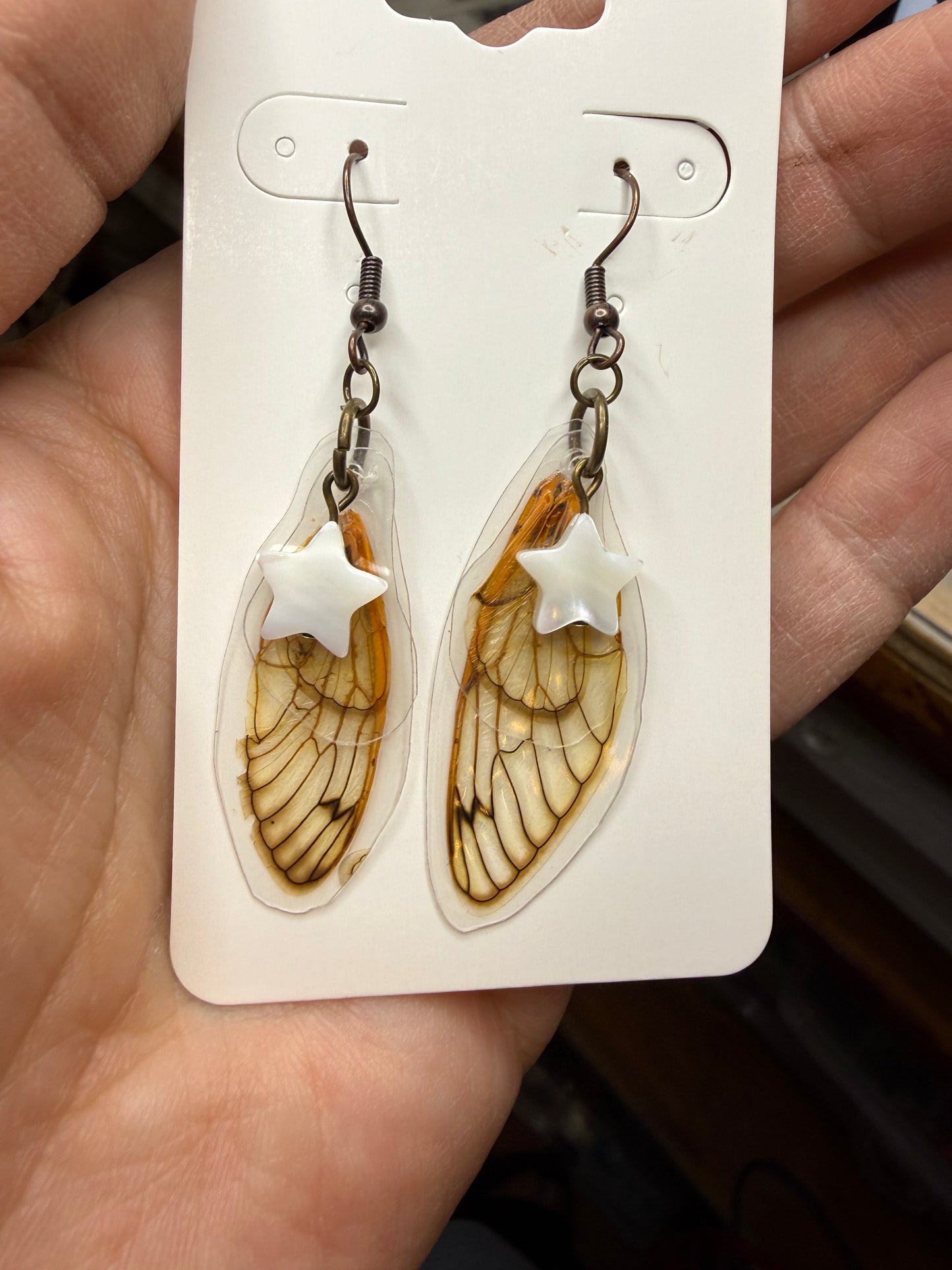 Cicada REAL Wing Earring w Star