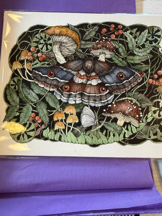 Blue Moth & Mushroom 8x10 Print THATO