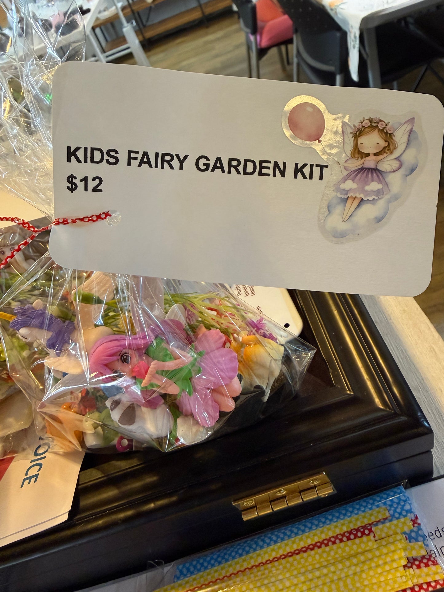 Kids Fairy Garden Kits