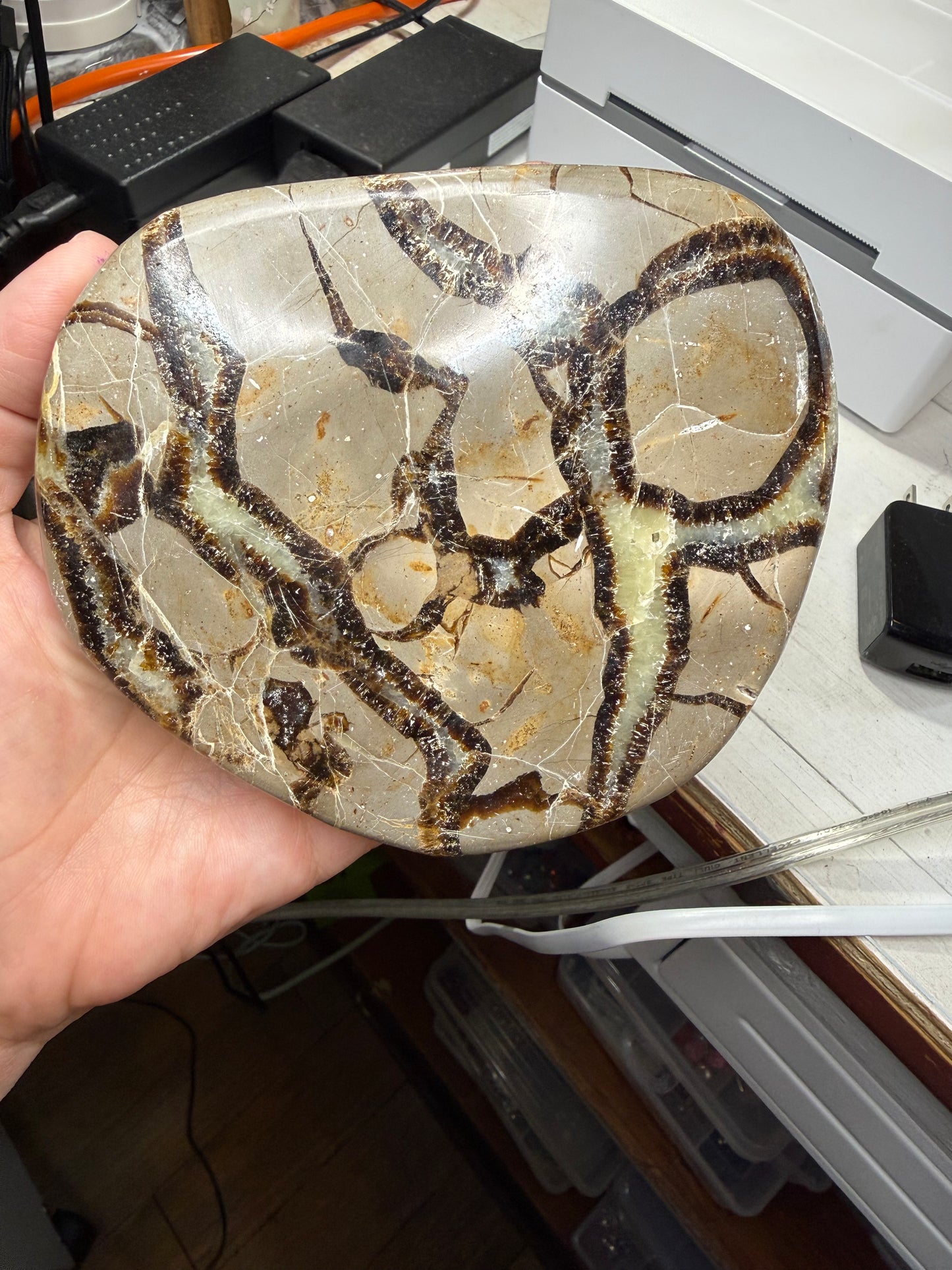 Septarian Disc Freeform