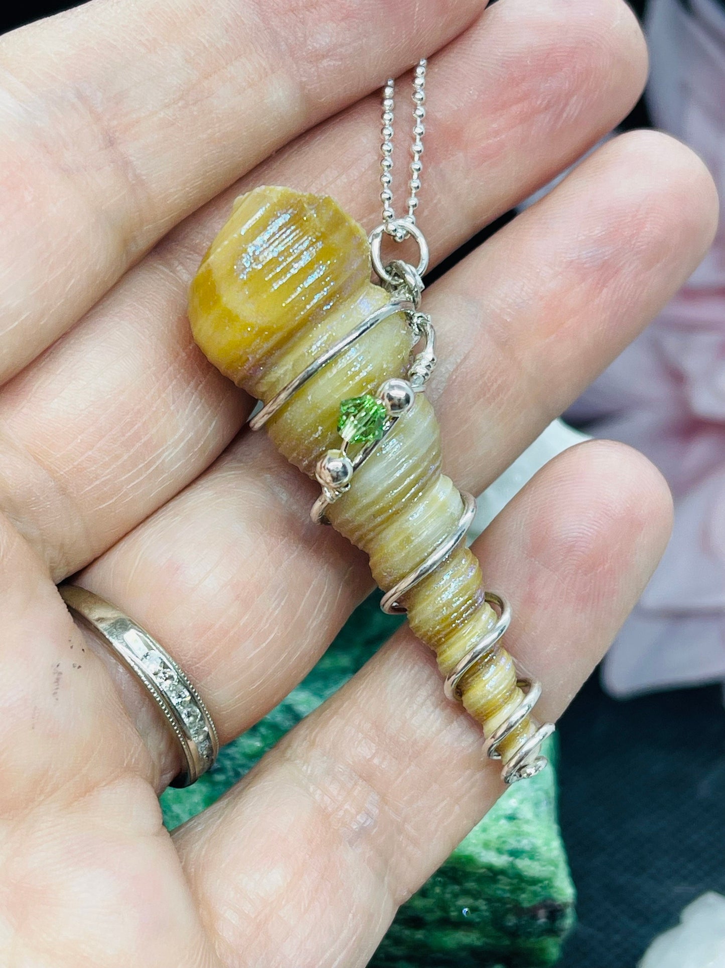 Spiral Shell Necklace w Dragonfly Glaze on 18 inch chain accented with Swarovski Crystal & Sterling Silver Beads