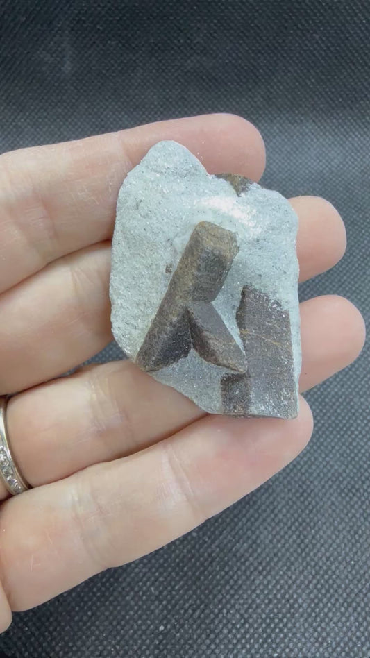 Staurolite in Mica Fairy Stone