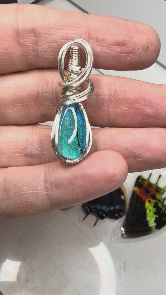 Monarch Opal in Sterling Silver